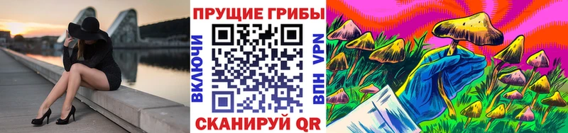 Галлюциногенные грибы Magic Shrooms  купить  сайты  Фрязино 
