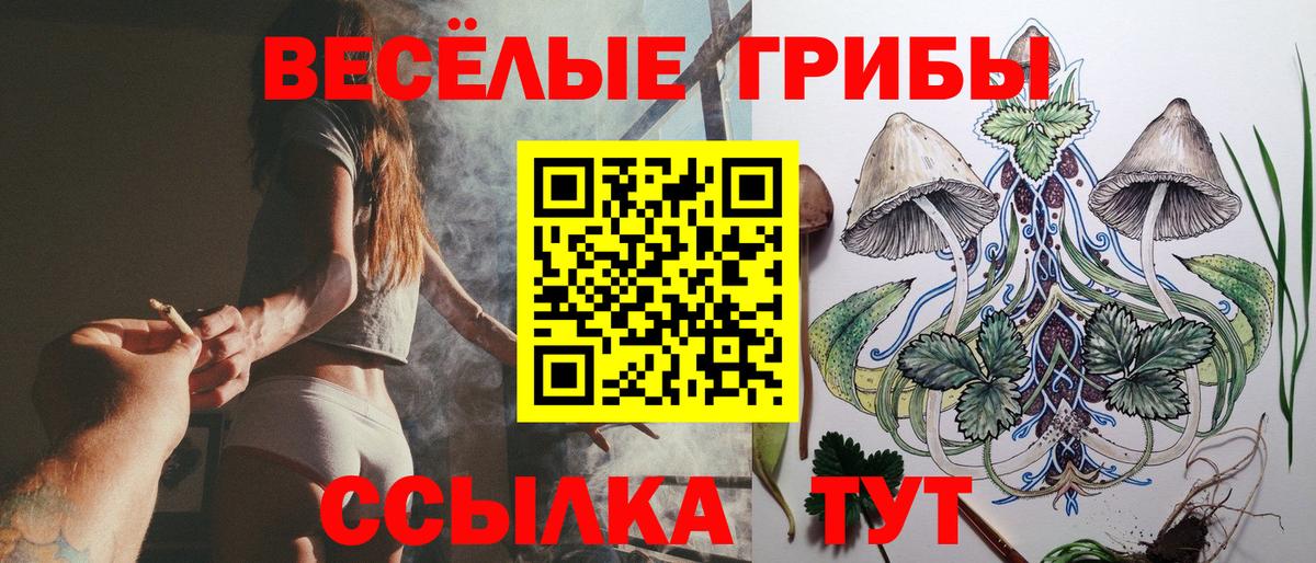 Псилоцибиновые грибы Magic Shrooms  Вход с VPN  Псилоцибиновые грибы Cubensis  Фрязино 