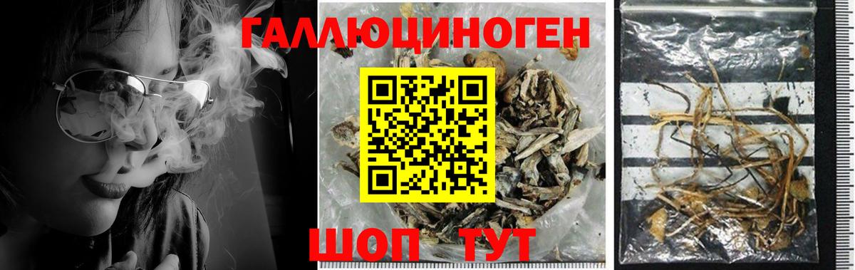 Псилоцибиновые грибы мухоморы Фрязино